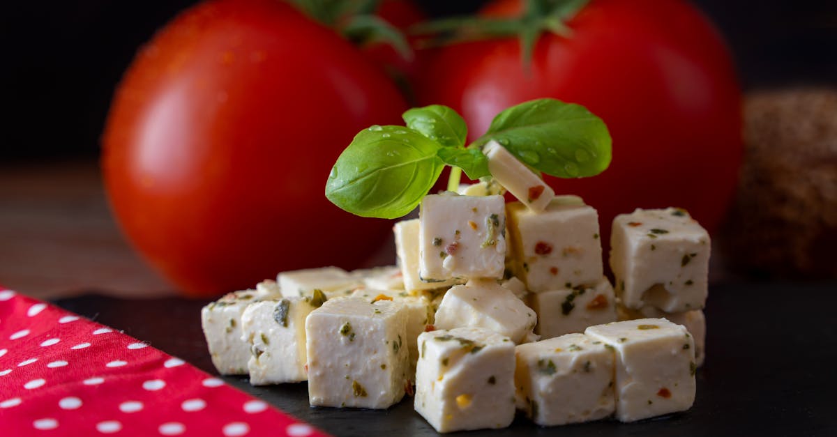découvrez tout sur la feta, le célÚbre fromage grec à la texture fondante et au goût unique. origines, modes de fabrication, conseils de dégustation et idées recettes pour savourer pleinement ce fromage incontournable.